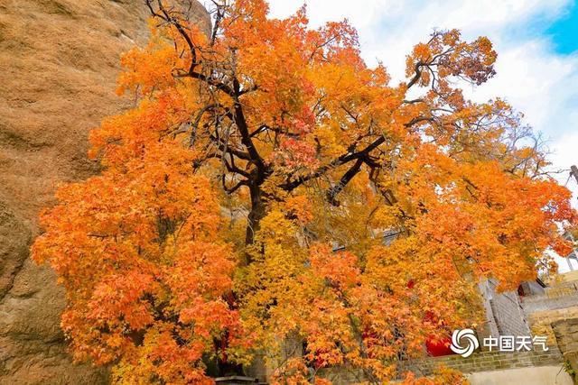 层林尽染 辽宁锦州翠岩山藏古韵