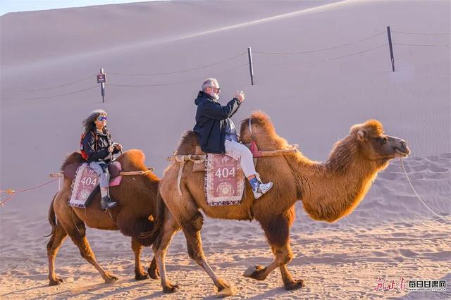 敦煌：大漠鎏金胡杨醉 驼铃引客赏秋光