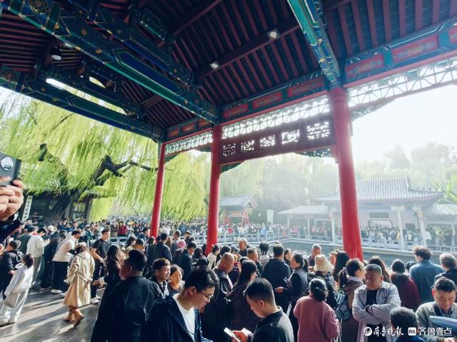 秋高气爽，济南观泉赏菊好时光