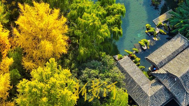 趵突泉公园开启变色模式，层林浸染触摸诗情画意