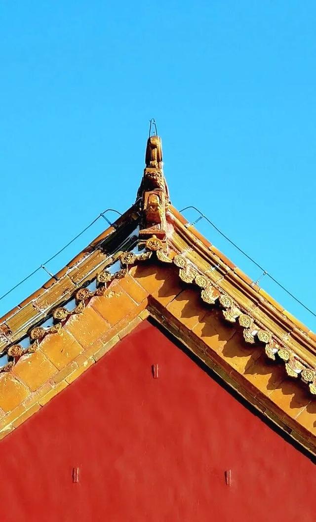 全网都在等的沈阳故宫雪景，来了→