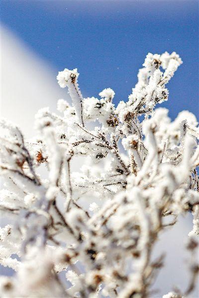 激活冰雪“冷资源” 打造旅游“热产业”