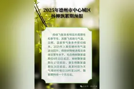 “白毛毛”漫天飞！德州杨柳飘絮将进入高发期图片