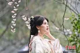 长沙公园举办古装樱花游园会图片