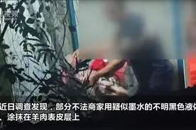 天天315 | 海口“染色羊肉”事件追踪：涉案白条羊动物检疫合格证明存疑图片