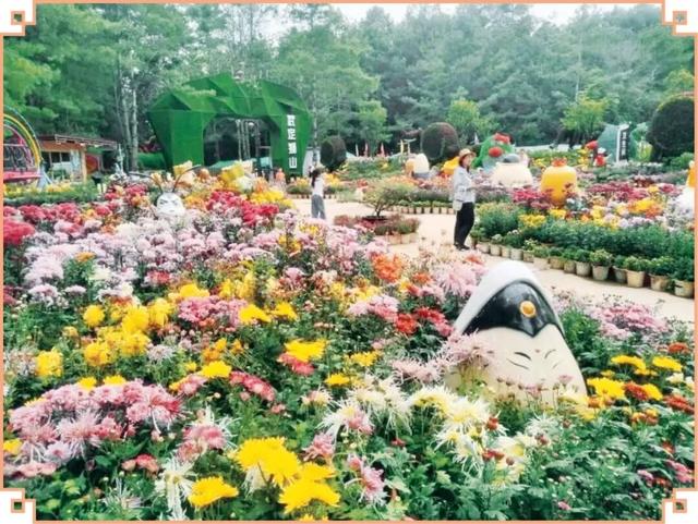 氛围拉满！多彩文旅活动点亮“双节”
