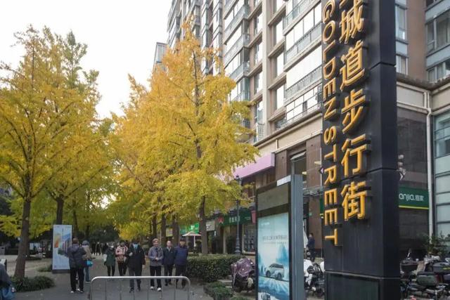 长宁最全银杏打卡点来啦，还有“宁宁”的私藏点位哦～【看“宁”的】