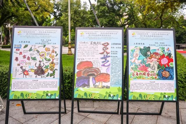 智能机器人、AI陪伴狗……在科普嘉年华解锁N种新奇体验