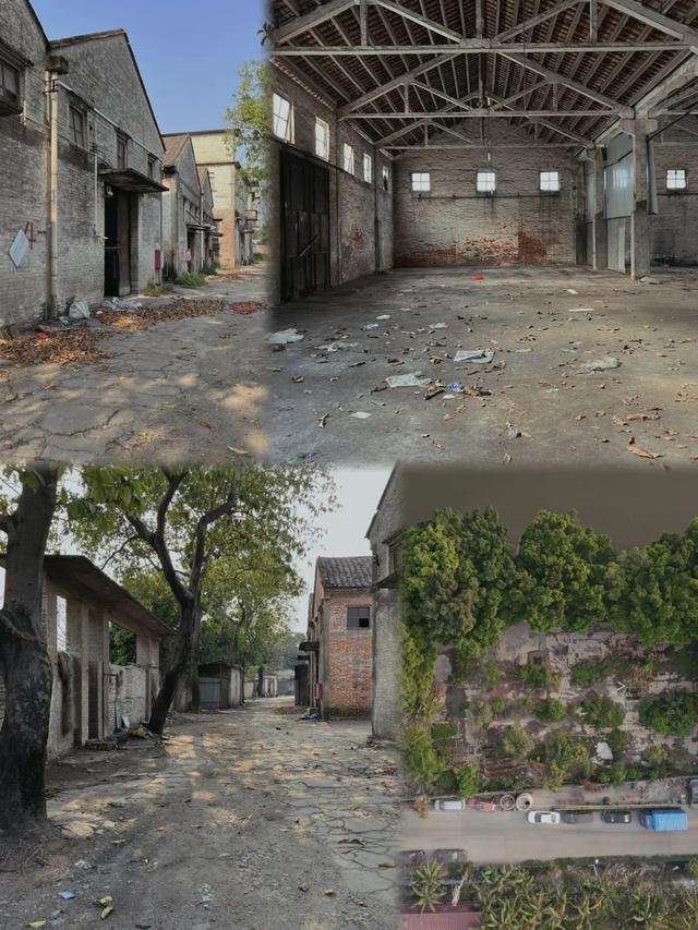 在旧仓库上“造云”！大沥新地标，免费逛→