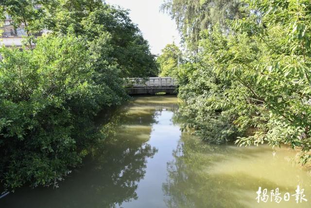 行走绿廊·南浦渔歌：昔日揭阳古八景，今时古城好风光