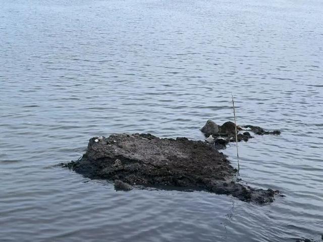 先锋在行动｜守护“一湾碧水” 让市民游玩体验更清新、更“出片”