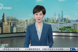 VR项目《梵高先生》热展 奥赛馆藏名作将齐聚上海视频封面