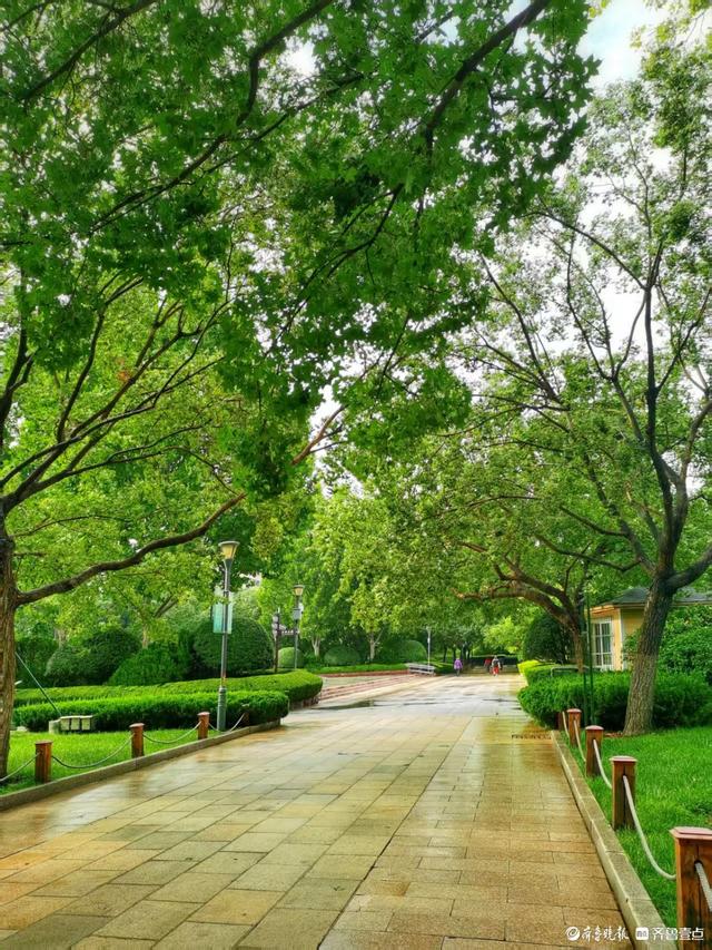 一夜雨后，英雄山风景区清新自然