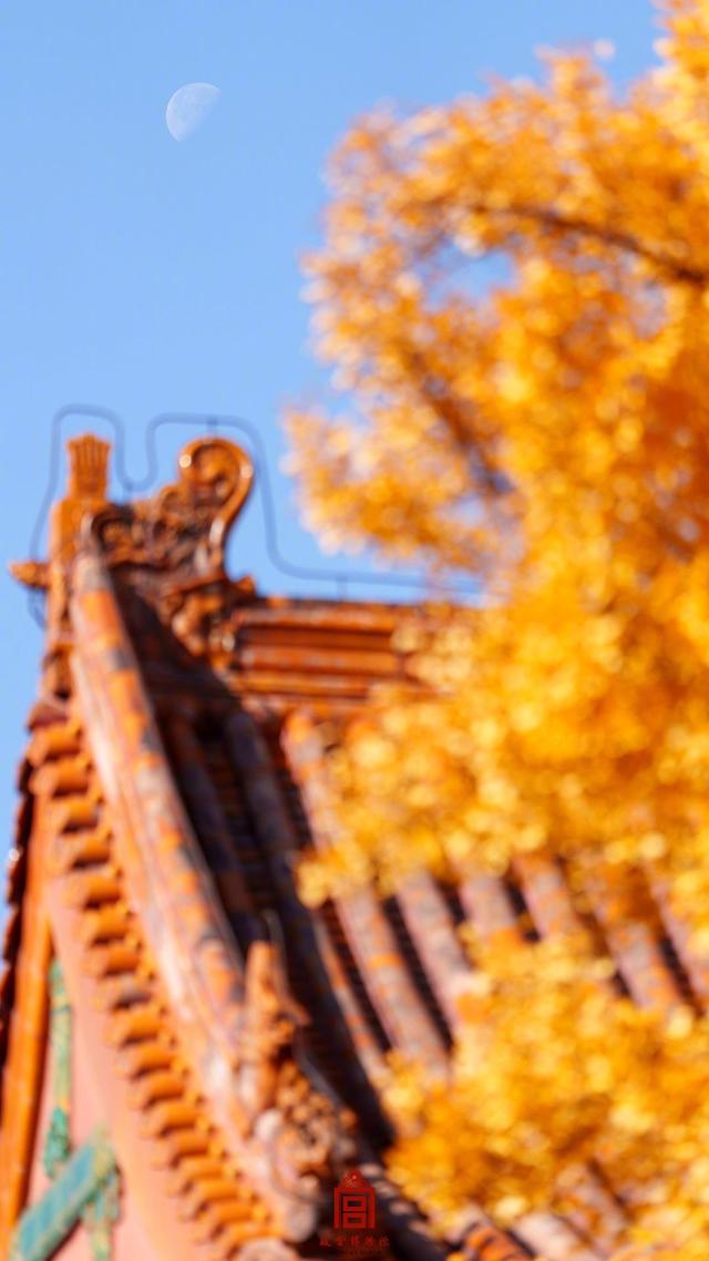 转发收藏！故宫初冬鎏金壁纸上新了