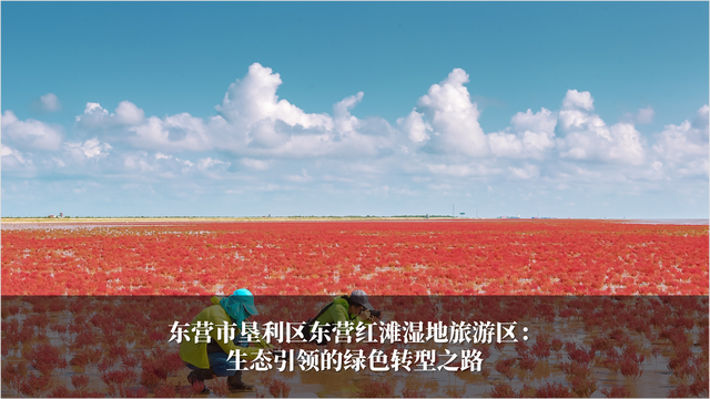 发挥生态优势 促进旅游发展 2024-2025年度山东省生态旅游发展典型案例公布