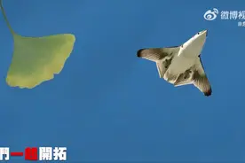 欧美军事专家热议中国新一代战机，认为可能将在未来空战中被委以重任图片