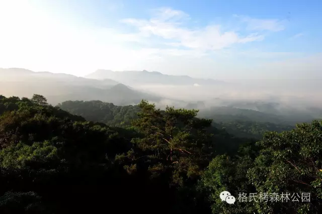 秋初凉意起！三明这些 “绿野仙踪” 藏不住了，随手拍都出片