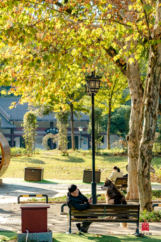 抓住晴天尾巴，徒步青龙山！