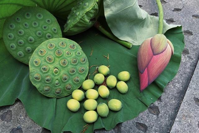 夏日限定！湘湖莲蓬上线，周末100个免费送，西湖莲蓬也快了