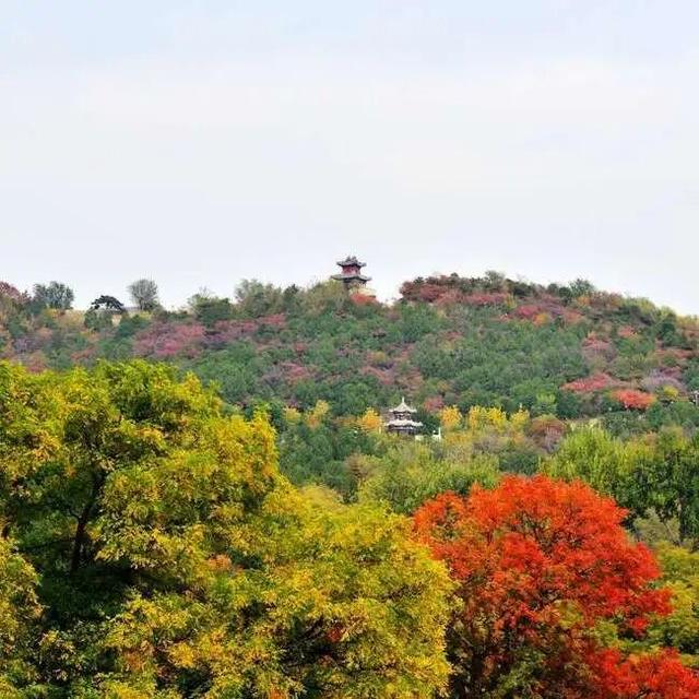 人少景美！北京这些古刹红叶正在最佳观赏期！