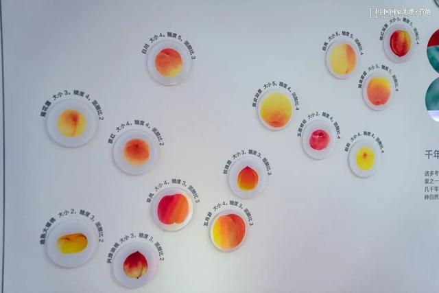 阳山自然驿站矩阵落成，全域科学体验线路启用