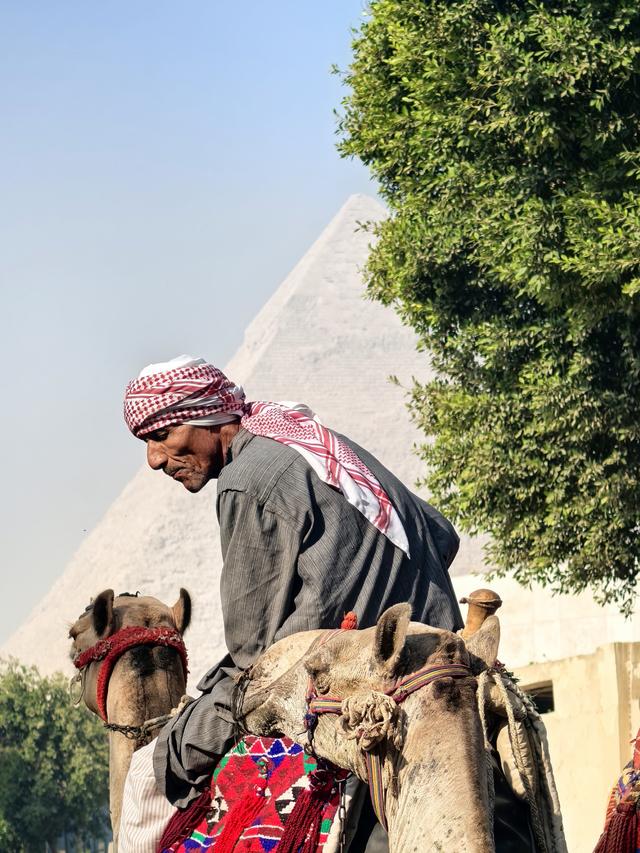 晚潮｜吉萨平原上的背影