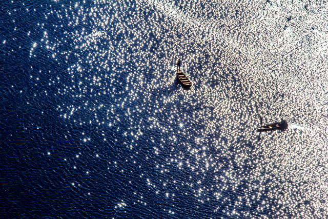 云新闻关注丨诗意旅居，云岭初冬氛围感超绝！