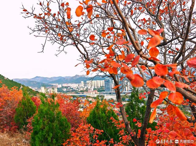 济南蝎子山，深秋 “鸳鸯火锅”景如画