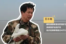 与鸟同行：中国最大淡水湖的“候鸟卫士”图片