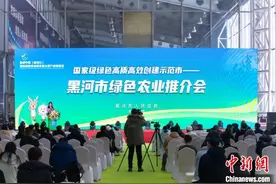 黑河市绿色农业推介会捧出寒地黑土“金豆子”图片