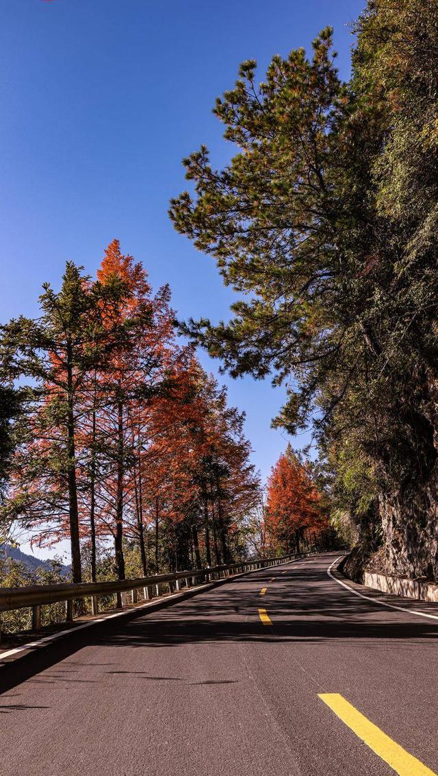 鹤峰：寒日寻秋 一眼尽染