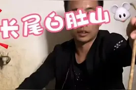 有人直播饲养老鼠用来炒菜，大量老鼠销往沿海地区？图片