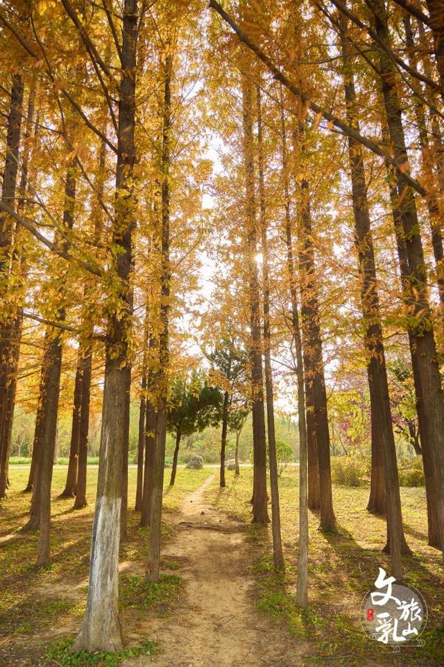 藏在乳山各处的温柔｜这些公园，让心情慢下来