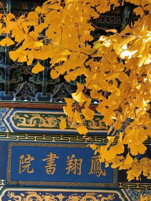 网友不建议推广？来大理，给你“镀层金”