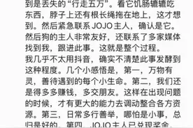 5万悬赏走失的爱犬，被两只流浪狗收养！犬主：都收养了！网友：希望不是摆拍图片