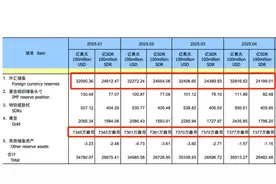 外汇储备“压舱石”四连升！央行连续六个月增持黄金 释放什么信号？图片