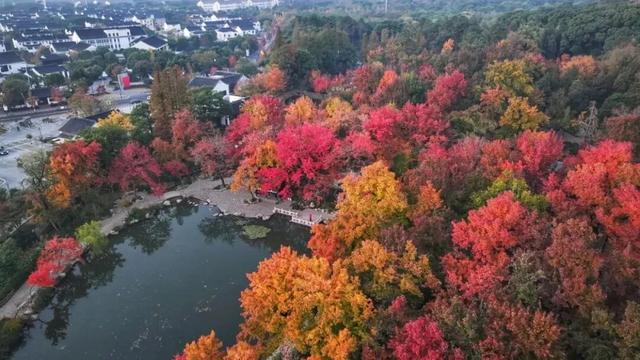 苏州的秋天，给你点“颜色”看看！
