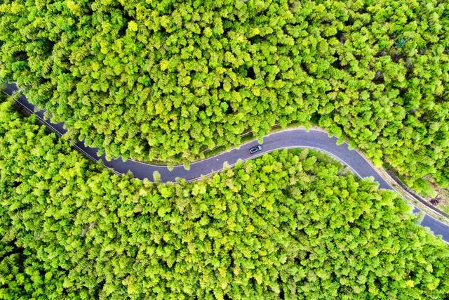 山水画卷如何炼成支柱产业？宣城用358亿给出答案