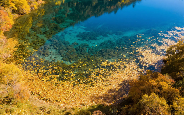 劝你别秋天去九寨沟，因为美得太“犯规”，会不想回来！