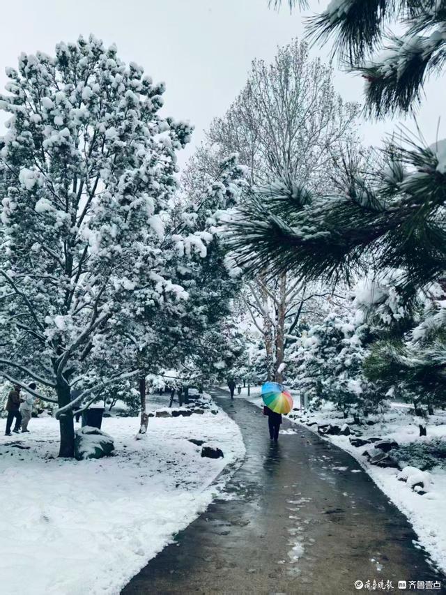 雪中泉城公园美不胜收