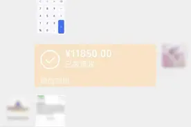 花50多万购买迪士尼“年卡”遇上诈骗，上海警方：犯罪嫌疑人已被采取刑事强制措施图片
