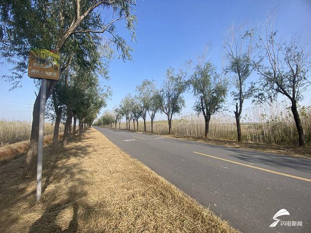 齐河：初冬藏锦绣 美景“二道坝”