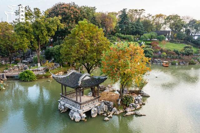 秦淮花事｜乌桕斑斓，半城秋色入画来