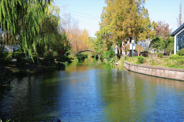 碧水黛瓦织锦绣！这个上海小镇，把江南诗篇写进了现实