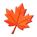 娄底：藏不住的诗意冬景，每帧都美到“心巴”上～