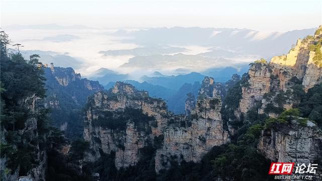 【每日一图@湖南】在杨家界的秋日云海里，遇见最灵动的中国画