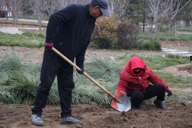 寒风里的“花事约定”！漳县贵清山植物园科学栽郁金香 筑牢春日文旅基底