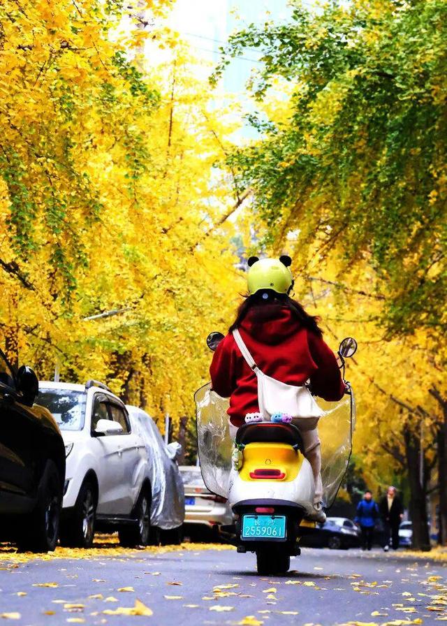 在长沙，幸福也许是听得见的风声，看得见的红叶……