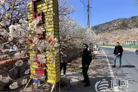 首届青岛赏花节启幕 北宅执法中队全力“护花”图片