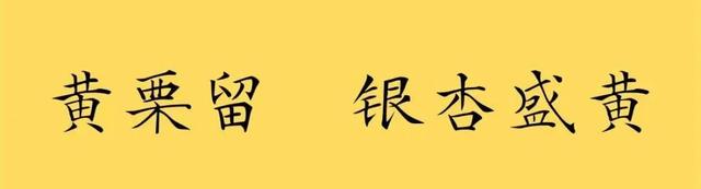 上海顶级秋景！藏着传统中国色→